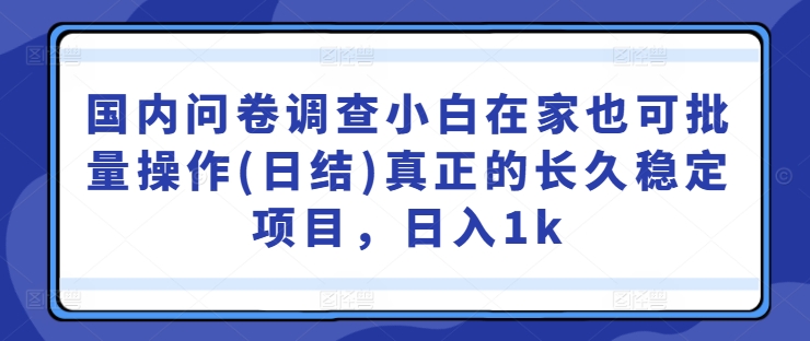 国内问卷调查小白在家也可批量操作(日结)真正的长久稳定项目,日入1k【揭秘】|淘骐网赚资源库