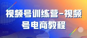 视频号训练营-视频号电商教程|淘骐网赚资源库