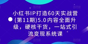 小红书IP打造60天实战营(第11期)5.0​内容全面升级，硬核干货，一站式引流变现系统课|淘骐网赚资源库