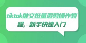 tiktok推文批量混剪操作教程，新手快速入门|淘骐网赚资源库