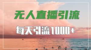 抖音快手视频号全平台通用，无人直播引流法，超暴力引流1000+高质量精准创业粉【揭秘】|淘骐网赚资源库