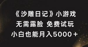 《沙雕日记》小游戏,无需露脸免费试玩,小白也能月入5000+【揭秘】|淘骐网赚资源库