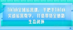 TikTok全域运营课,手把手TikTok实战运营教学,打造带货全链路生态闭环|淘骐网赚资源库