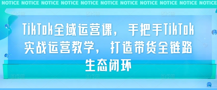 TikTok全域运营课，手把手TikTok实战运营教学，打造带货全链路生态闭环|淘骐网赚资源库