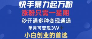 快手暴力起万粉，涨粉只需一星期，多种变现模式，直接秒开万合，单月变现过W【揭秘】|淘骐网赚资源库