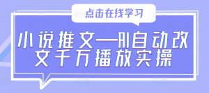 小说推文—AI自动改文千万播放实操|淘骐网赚资源库
