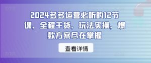 2024多多运营必听的12节课,全程干货,玩法实操,爆款方案尽在掌握|淘骐网赚资源库