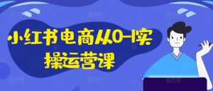 小红书电商从0-1实操运营课,小红书手机实操小红书/IP和私域课/小红书电商电脑实操板块等|淘骐网赚资源库