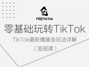 零基础玩转TiKToK变现课,TikTok最新撸基金玩法详解|淘骐网赚资源库