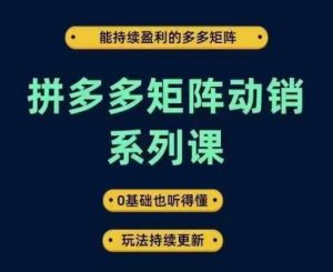拼多多矩阵动销系列课，能持续盈利的多多矩阵，0基础也听得懂，玩法持续更新|淘骐网赚资源库