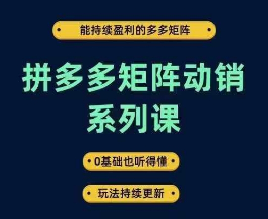 拼多多矩阵动销系列课，能持续盈利的多多矩阵，0基础也听得懂，玩法持续更新|淘骐网赚资源库