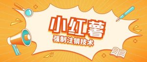 小红薯强制注销技术释放手机号(揭秘)|淘骐网赚资源库