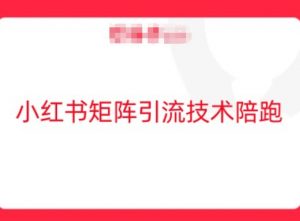 小红书矩阵引流技术，教大家玩转小红书流量|淘骐网赚资源库