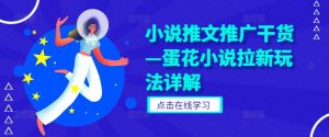 小说推文推广干货—蛋花小说拉新玩法详解|淘骐网赚资源库