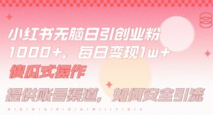 小红书无脑每日引流创业粉500+，小白每天只花半小时，躺赚长尾收益【揭秘】|淘骐网赚资源库