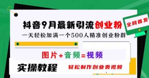 抖音9月最新引流创业粉,轻松制作创业类视频,一天轻松加满一个500人精准创业粉群【揭秘】|淘骐网赚资源库