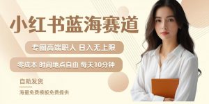 小红书蓝海赛道，圈中高端职场人，月入无上限，可矩阵，内含私域实操教程!|淘骐网赚资源库