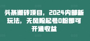 头条搬砖项目,2024内部新玩法,无风险起号0粉即可开通收益|淘骐网赚资源库