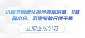 小绿书精细化操作变现项目，0基础小白，不发收益只讲干货|淘骐网赚资源库