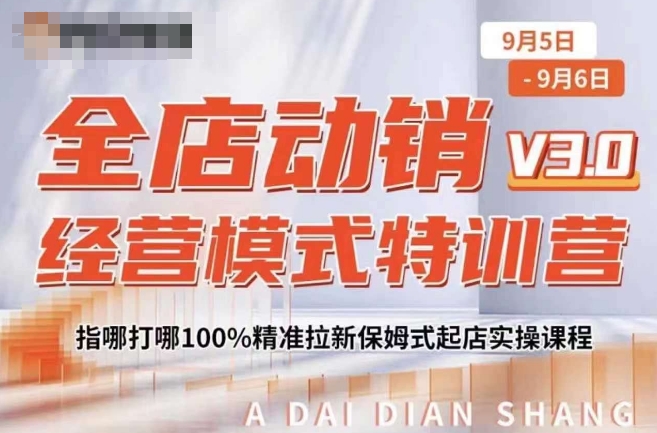 全店动销经营模式特训营,指哪打哪100%精准拉新保姆式起店实操课程|淘骐网赚资源库