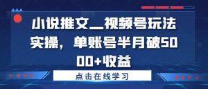 小说推文—视频号玩法实操，单账号半月破5000+收益|淘骐网赚资源库