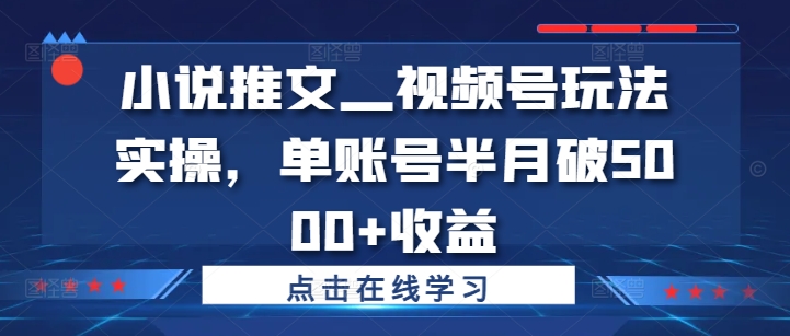 小说推文—视频号玩法实操，单账号半月破5000+收益|淘骐网赚资源库