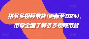 拼多多视频带货(更新至2024),带你全面了解多多视频带货|淘骐网赚资源库