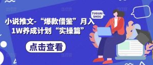 小说推文-“爆款借鉴”月入1W养成计划“实操篇”|淘骐网赚资源库