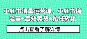 小红书流量运营课,小红书搞流量+高效卖货+私域转化|淘骐网赚资源库