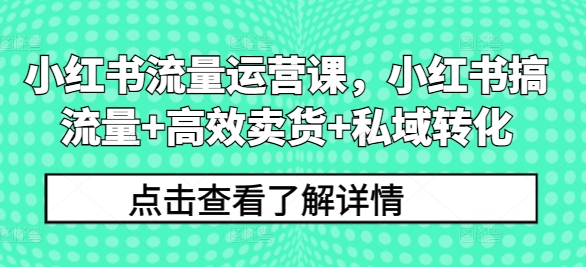 小红书流量运营课,小红书搞流量+高效卖货+私域转化|淘骐网赚资源库