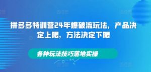 拼多多特训营24年爆破流玩法，产品决定上限，方法决定下限，各种玩法技巧落地实操|淘骐网赚资源库