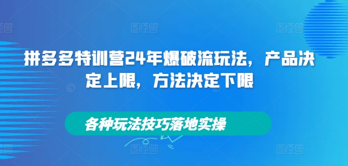 拼多多特训营24年爆破流玩法，产品决定上限，方法决定下限，各种玩法技巧落地实操|淘骐网赚资源库