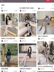 AI打造网红账号,一周收入超5位数,还能矩阵操做|淘骐网赚资源库
