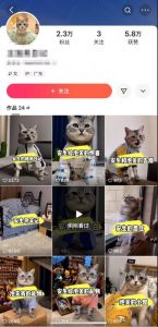 快手MT搬运技术，一比一搬运不剪辑，剧情可用，条条同框|淘骐网赚资源库