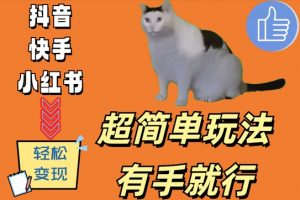 超简单玩法,有手就行,靠猫咪视频日入500+【揭秘】|淘骐网赚资源库