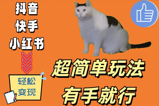 超简单玩法,有手就行,靠猫咪视频日入500+【揭秘】|淘骐网赚资源库