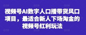 视频号AI数字人口播带货风口项目,最适合新人下场淘金的视频号红利玩法|淘骐网赚资源库