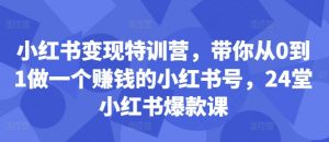 小红书变现特训营,带你从0到1做一个赚钱的小红书号,24堂小红书爆款课|淘骐网赚资源库