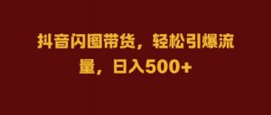抖音闪图带货,轻松引爆流量,日入几张【揭秘】|淘骐网赚资源库