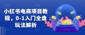 小红书电商项目教程,0-1入门全盘玩法解析|淘骐网赚资源库