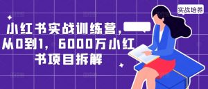 小红书实战训练营,从0到1,6000万小红书项目拆解|淘骐网赚资源库