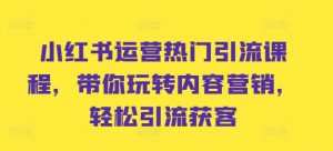 小红书运营热门引流课程,带你玩转内容营销,轻松引流获客|淘骐网赚资源库