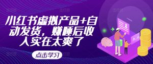 小红书虚拟产品+自动发货,赚睡后收入实在太爽了|淘骐网赚资源库