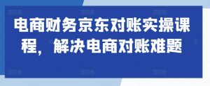 电商财务京东对账实操课程,解决电商对账难题|淘骐网赚资源库