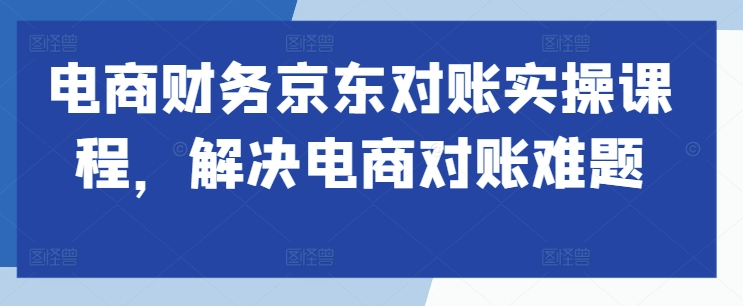 电商财务京东对账实操课程,解决电商对账难题|淘骐网赚资源库