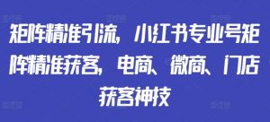 矩阵精准引流,小红书专业号矩阵精准获客,电商、微商、门店获客神技|淘骐网赚资源库