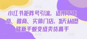 小红书矩阵号引流,适用于电商、微商、实体门店,30天从0基础新手蜕变成卖货高手|第一资源库