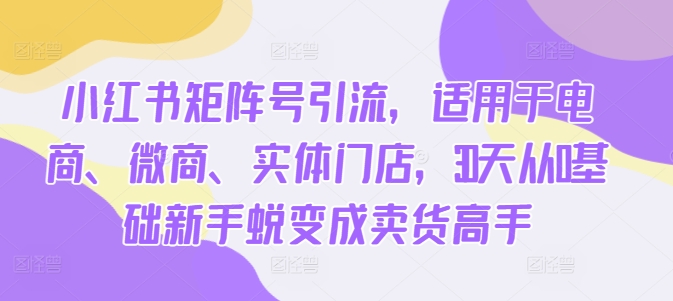 小红书矩阵号引流,适用于电商、微商、实体门店,30天从0基础新手蜕变成卖货高手|第一资源库