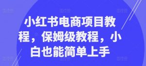小红书电商项目教程,保姆级教程,小白也能简单上手|淘骐网赚资源库