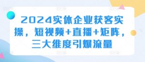 2024实体企业获客实操,短视频+直播+矩阵,三大维度引爆流量|淘骐网赚资源库